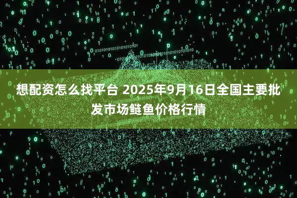 想配资怎么找平台 2025年9月16日全国主要批发市场鲢鱼价格行情