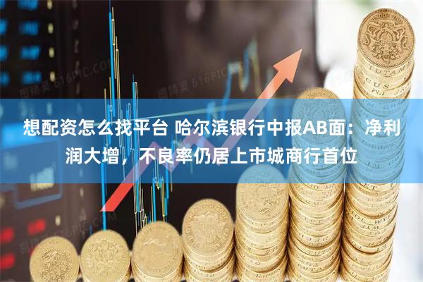 想配资怎么找平台 哈尔滨银行中报AB面：净利润大增，不良率仍居上市城商行首位