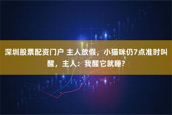 深圳股票配资门户 主人放假，小猫咪仍7点准时叫醒，主人：我醒它就睡?